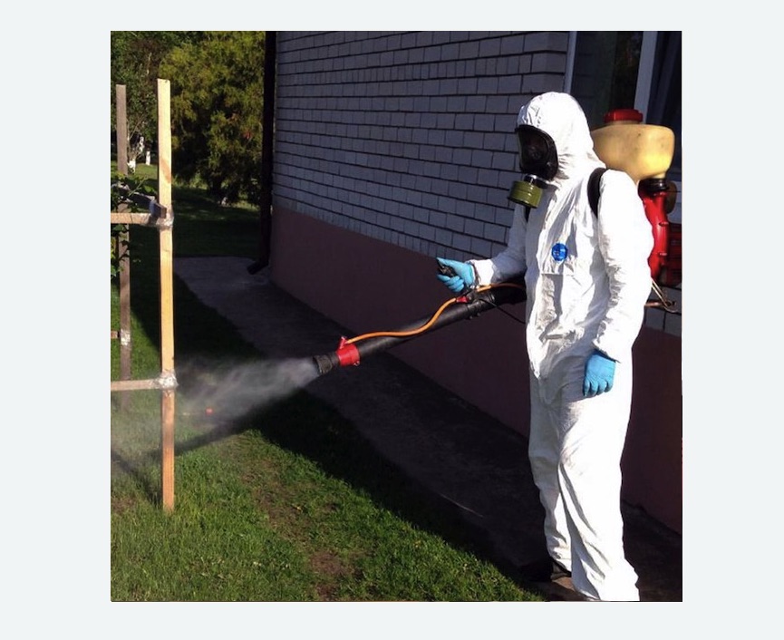 травля клещей на участке в Лианозово города Москвы