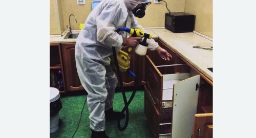 Уничтожение насекомых в квартире. Лианозово 