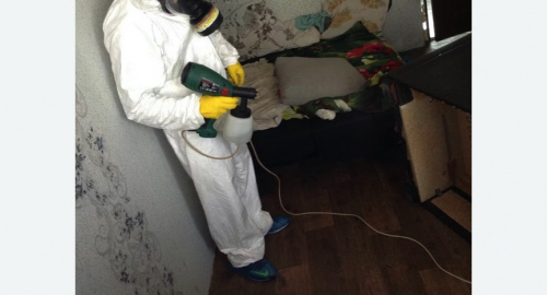 Обработка квартир от насекомых в Лианозово города Москвы