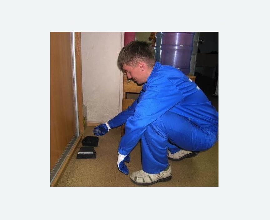 Дератизация крыс в Лианозово города Москвы