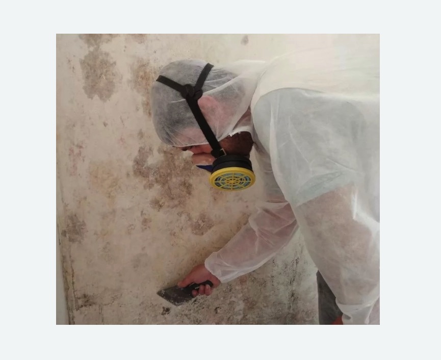 Обработка стен от плесени в Лианозово города Москвы