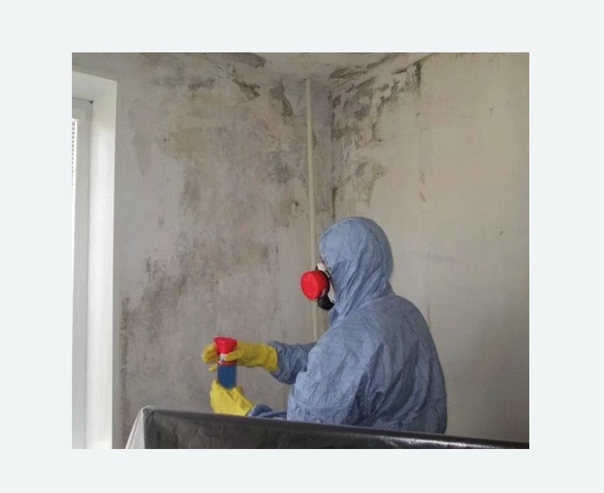 Удаление плесени в квартире в Лианозово города Москвы