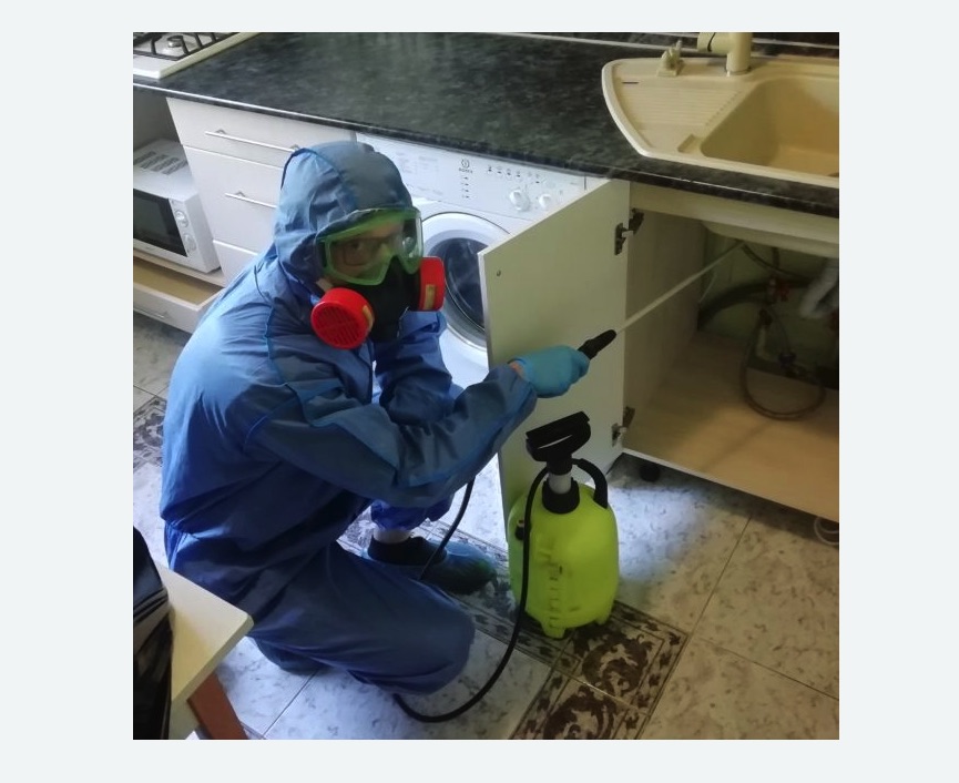 обработка от муравьев в квартире в Лианозово города Москвы