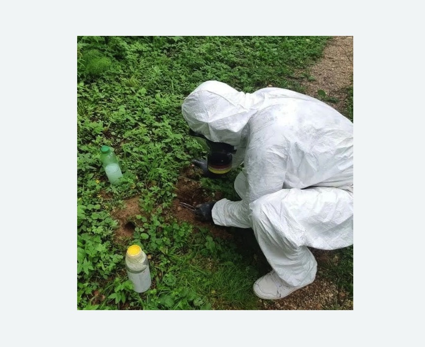 уничтожение кротов на участке в Лианозово города Москвы